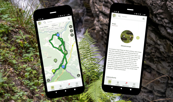 Smartphone - App Natur.Digital 2 Smartphones mit geöffneter Natur-Ditigal-App