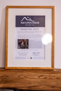 Eine Urkunde hängt an einer Wand und zeigt den Gewinnertitel für das Naturwunder des Jahres 2025.