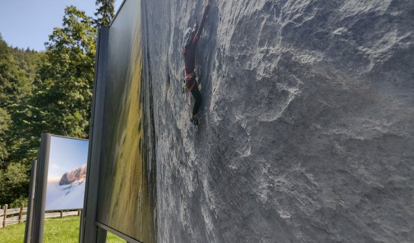 Sonderausstellung Fotogipfel Es gibt große Bilder im Freien, die die Natur zeigen. Sie stehen in einem Waldgebiet.