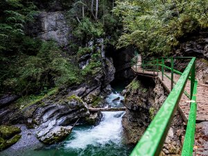 Am Grünen Gumpen in der Breitachklamm Hochformat