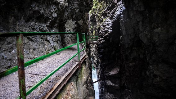 Weg zur Wasserstandsbrücke