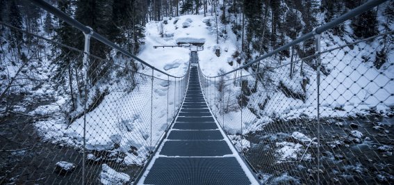 Brücke im Kleinwalsertal