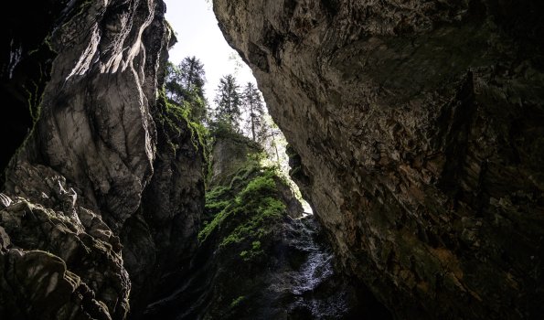 Der Blick nach oben