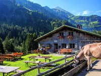 Buchrainer kuh.brunnen