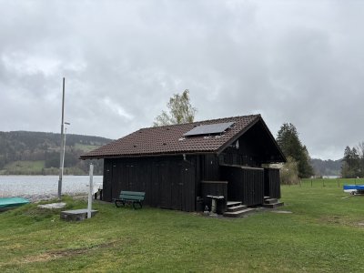 IMG 7443