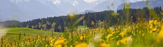 Luxus Chalet F in Ofterschwang im Allgäu. Einmalige Lage einer luxuriösen Ferienwohnungen. Luxus, Chalet, Chalets, Ferienwohnung, Allgäu, Bayern, Alpen, Ferienwohnung