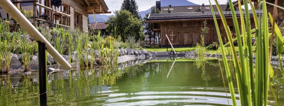 Schwimmteich