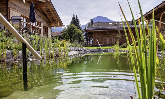 Schwimmteich