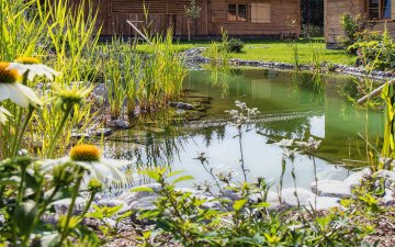Alpglueck Aussenaufnahme 013 Naturteich Ausschnitt