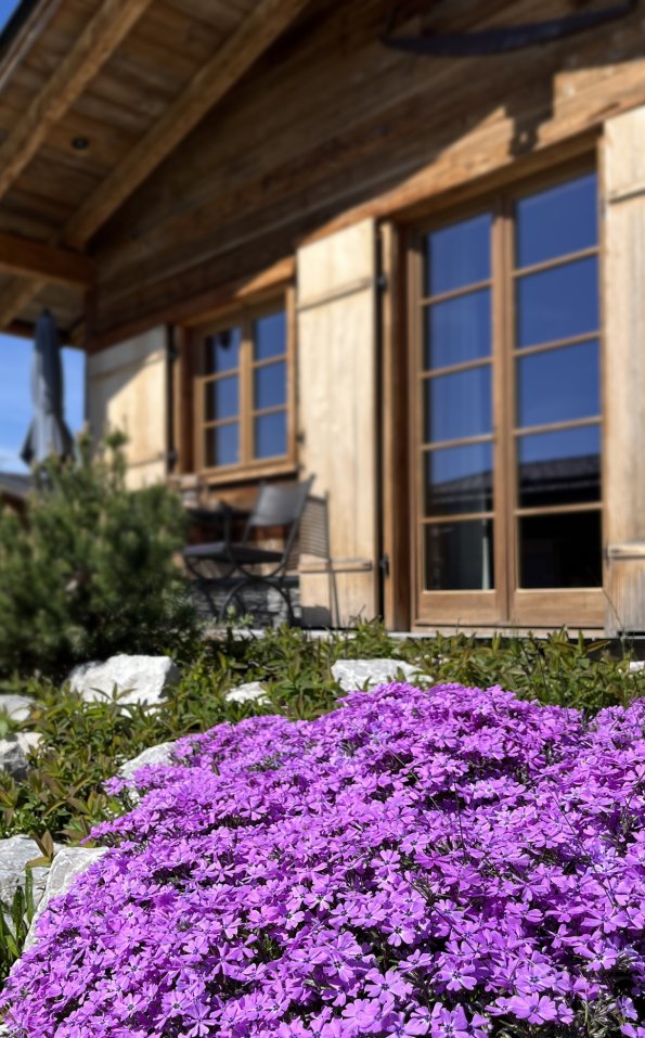 Frühling in Oberstdorf im Alpglück