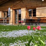 Chalets Fruehling Tulpen