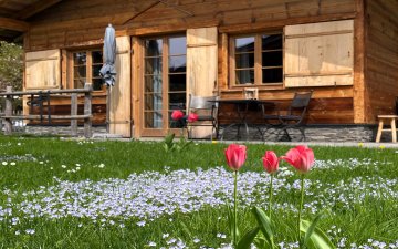 Chalets Fruehling Tulpen