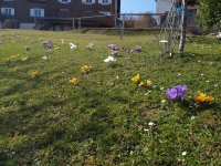 Frühling Garten