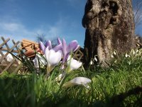 Frühlingsbeginn in Tiefenbach