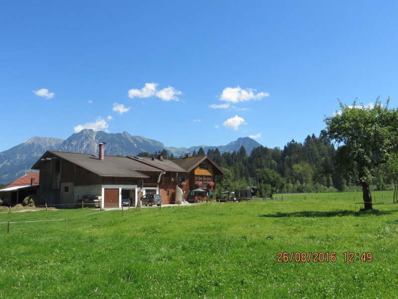 wunderschöner Sommertag