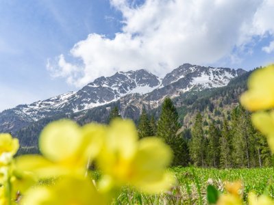 Das Stillachtal im April 