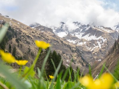 Das Stillachtal im April 