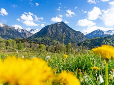 Frühlingsgefühle am Moorweiher
