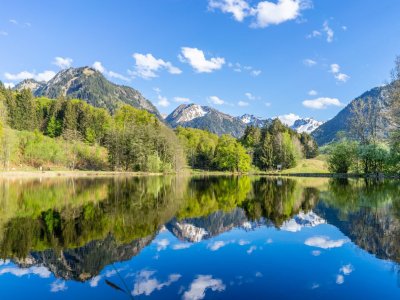 Frühlingsgefühle am Moorweiher