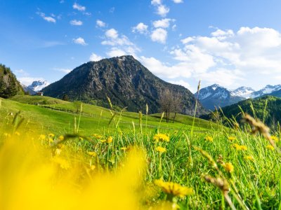 Frühlingsgefühle am Moorweiher
