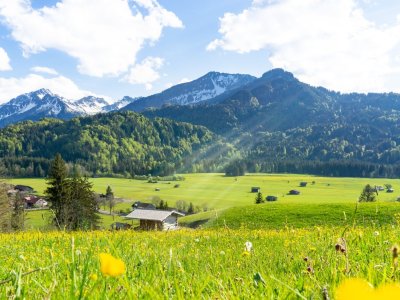 Frühlingsgefühle am Moorweiher