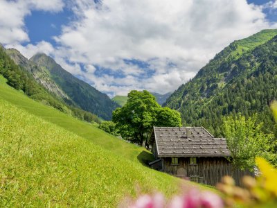 Gerstruben 30.06.2020-1-019