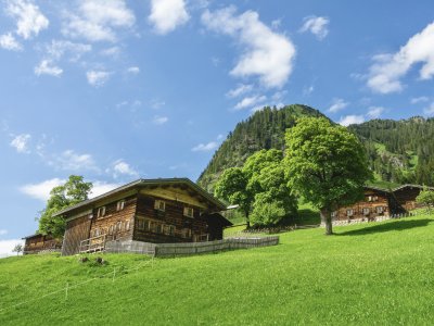 Gerstruben 30.06.2020-1-041