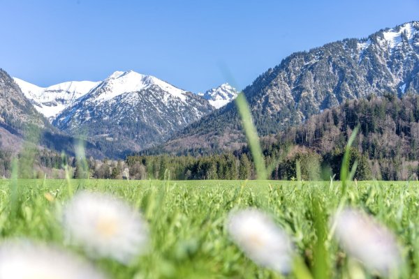 03.05. Wiesen und Karatsbichl-017