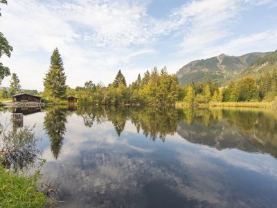 14.09. Kühe Moorweiher-021