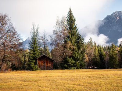 Herbstnebel