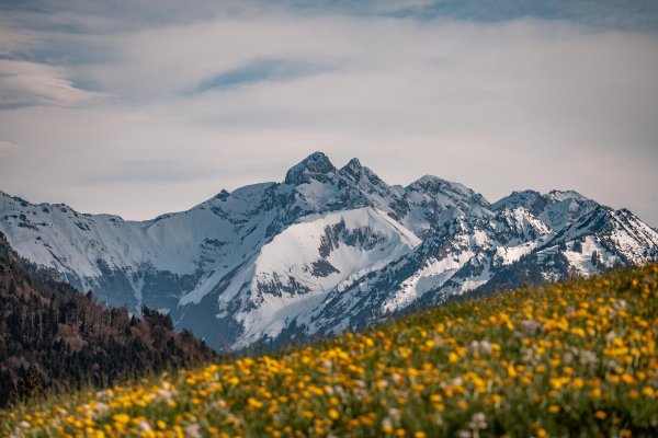 Oben weiß unten grün