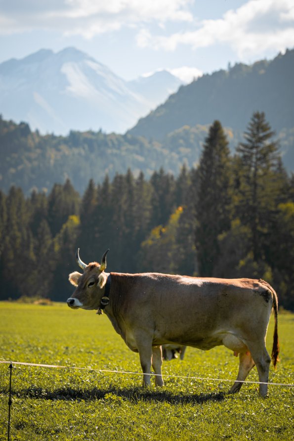 So schön ist der Herbst bei uns im Freiberg