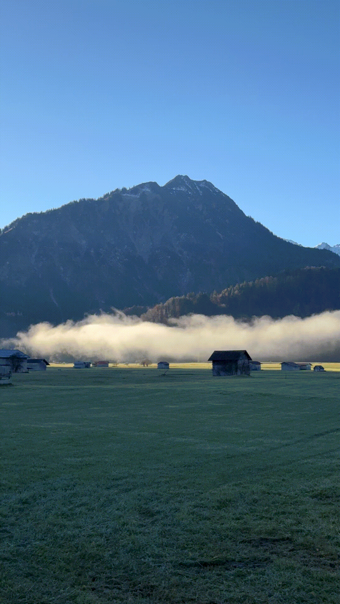 Nebelschwaden im Herbst