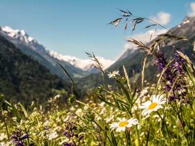 Fotolia 31188272 Subscription XXL LR