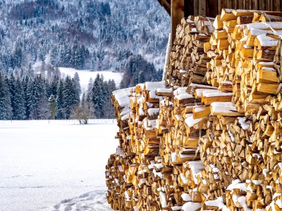 Holzbeig in den Oberstdorf Wiesen