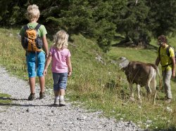 Die Tierwelt beobachten