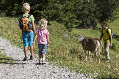 Die Tierwelt beobachten