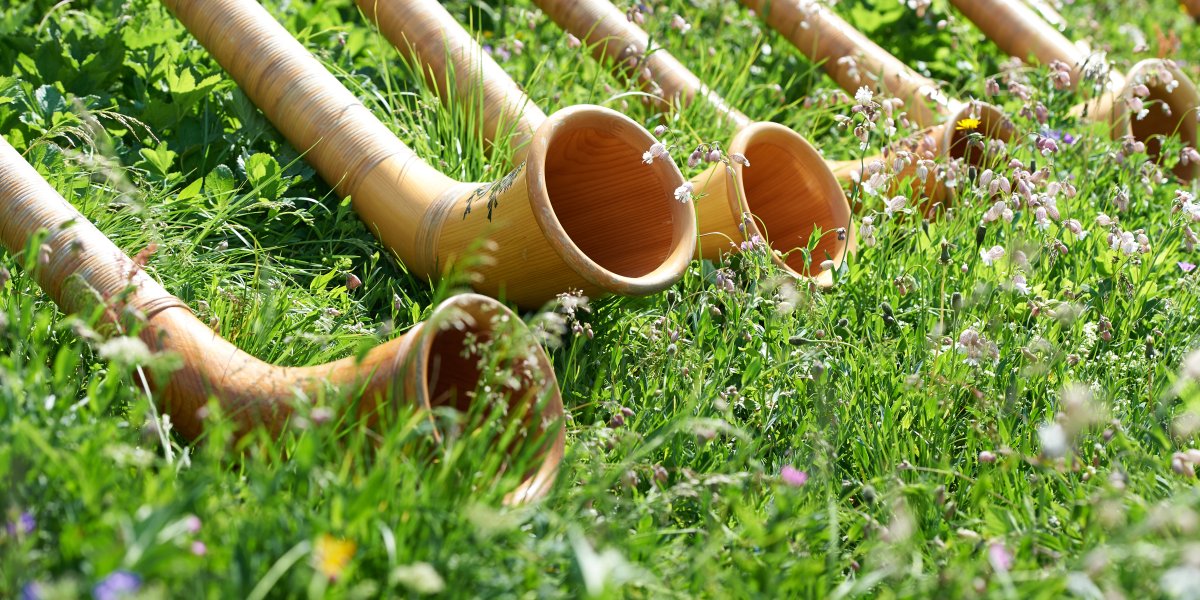 Alphörner in der Blumenwiese