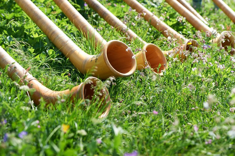 Alphörner in der Blumenwiese