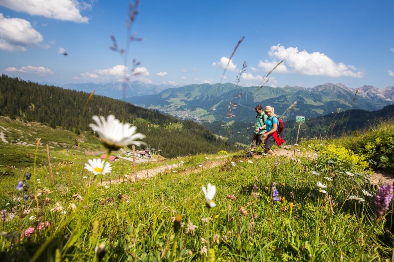 wandern am Ifen