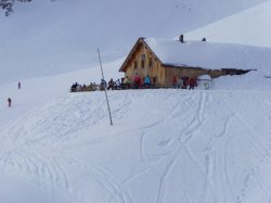 L chlealpe