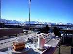 Kaffee und Kuchen am Nebelhorn