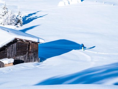 Unter der Schneedecke