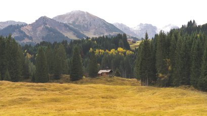 Das KÜREN - Ausblick