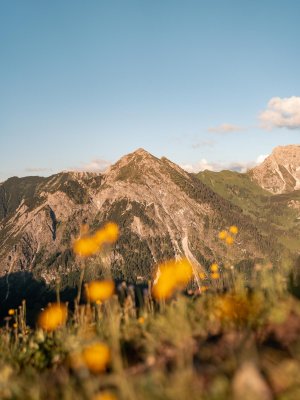 Berge