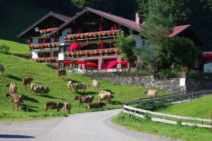 Alpengasthof Schwand Sommer