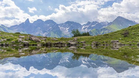 Ausblick am Guggersee