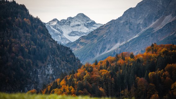 Allgäuer Berge im Herbst