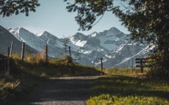 Wanderweg im Herbst