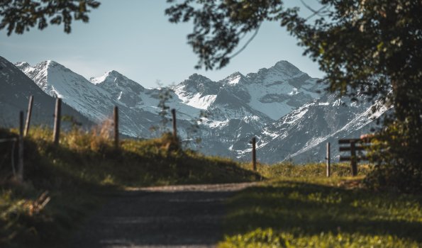 Wanderweg im Herbst